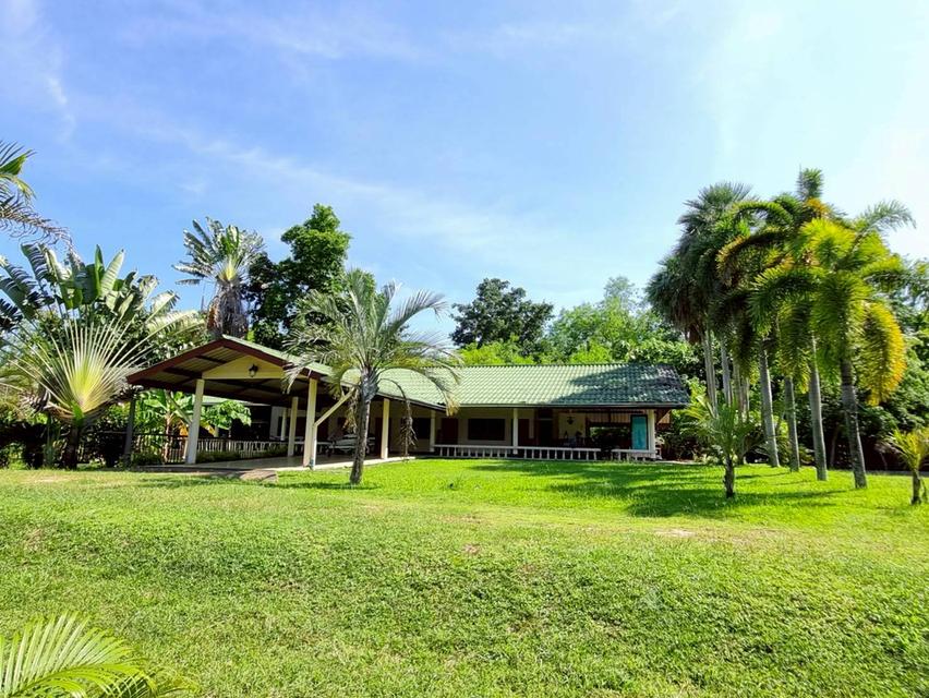 ที่ดินแปลงสวยติดเขื่อนศรีนครินทร์ 10