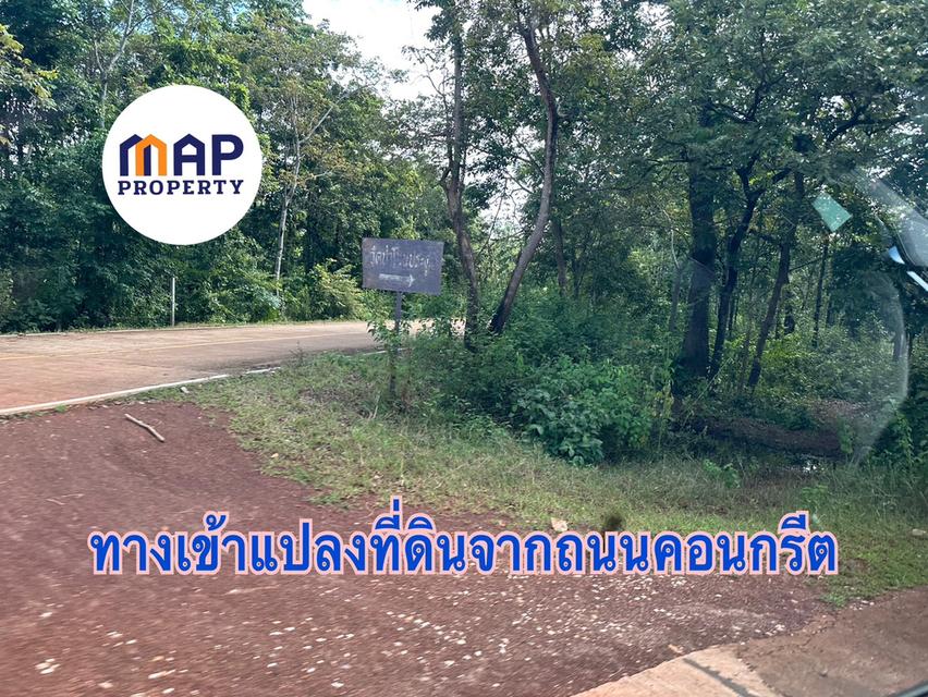 เปลี่ยนเงินฝากเป็นที่ดิน! แปลงสวย แปลงใหญ่ ใกล้ชิดธรรมชาติ ยิ่งเก็บยิ่งเพิ่มมูลค่า 4