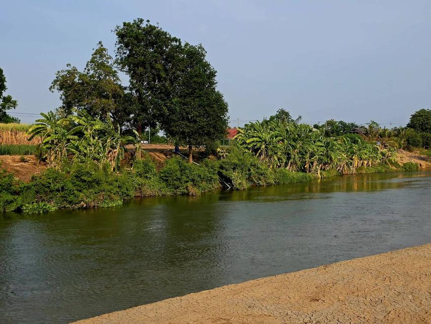 ที่ดินสวยติดคลองธรรมชาติ 4