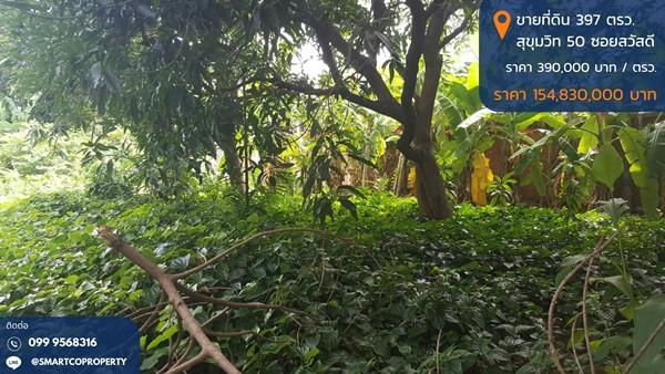 ขายที่ดิน 397 ตรว. ถมแล้ว สุขุมวิท 50 ซอยสวัสดี พระโขนง กรุงเทพ พื้นที่สีส้ม บรรยากาศดี เหมาะสร้างบ้านหรู ซื้อลงทุน โทร 0999568316 1