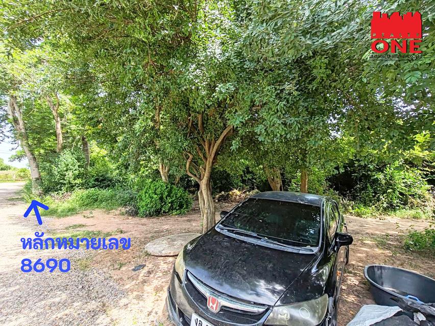 ที่ดินแบ่งขายราคาถูกมาก ทำเลดีในโคราช หัวทะเล ขนาด99 ตร.ว. เพียง 1.2 ล้านบาท (ต่อรองได้) ฟรีโอน 5