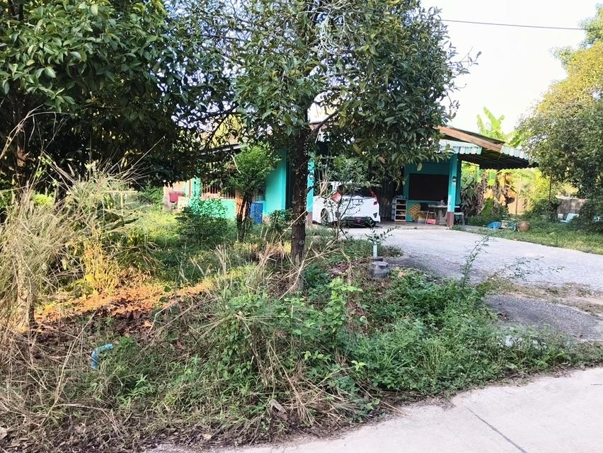 บ้านติดสุขุมวิท บ้านเดี่ยว เจ้าของขายเอง 3