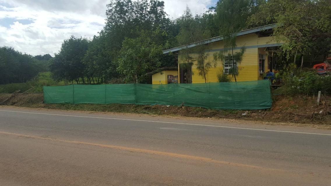 ขายที่ดินแปลงใหญ่ 148 ไร่ เป็นสวนยางพารา ที่มีโฉนด 13