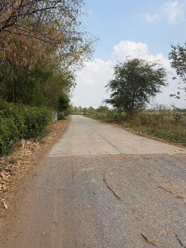 📍ขายที่นา 4ไร่ 3งาน 3.1ตารางวา หน้ากว้าง 38 เมตร น้ำไม่เคยท่วม มีไฟฟ้า น้ำปะปา ติดถนน 9