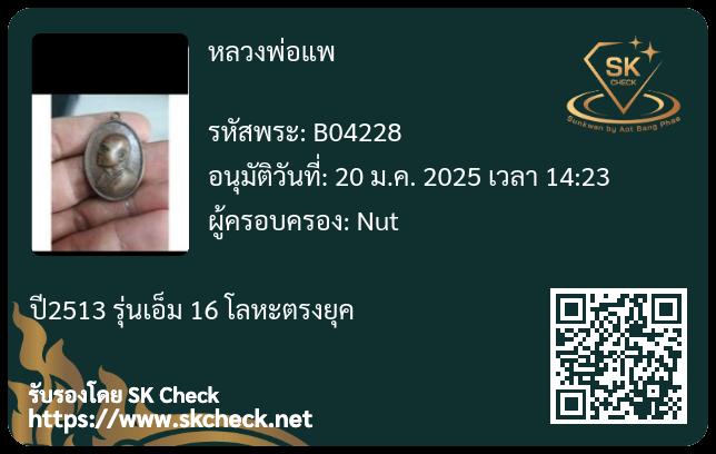 หลวงพ่อแพ 2513 รุ่น m16 6