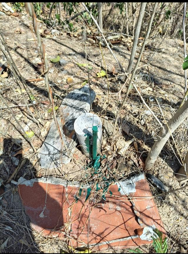 ที่ดิน พื้นที่สีม่วง 112ไร่ 2