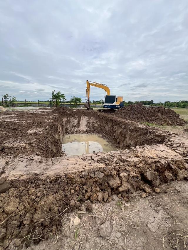 ที่ดินหนองจอก-บางน้ำเปรี้ยว 7