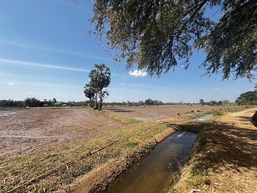 ขายที่นา 9 ไร่ ไม่ไกลจากตัวเมืองขอนแก่น 3