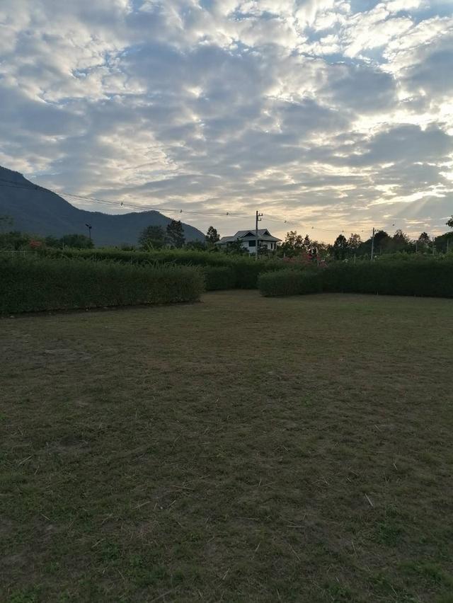 ที่ดิน จังหวัดเชียงใหม่ อำเภอแม่ออน 10
