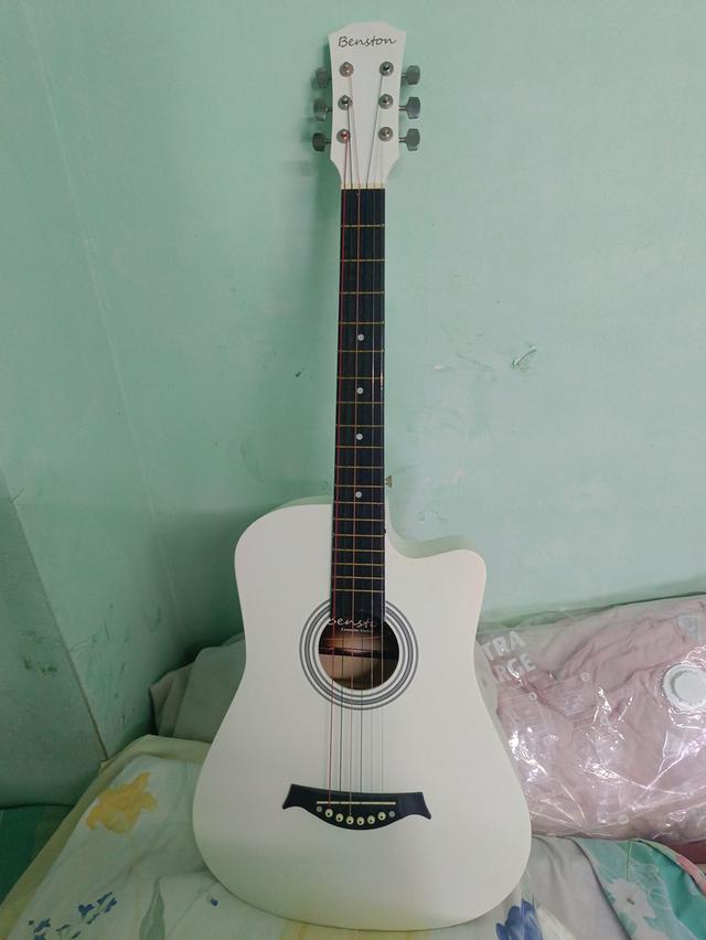 กีต้าร์โปร่งธรรมดาBenston