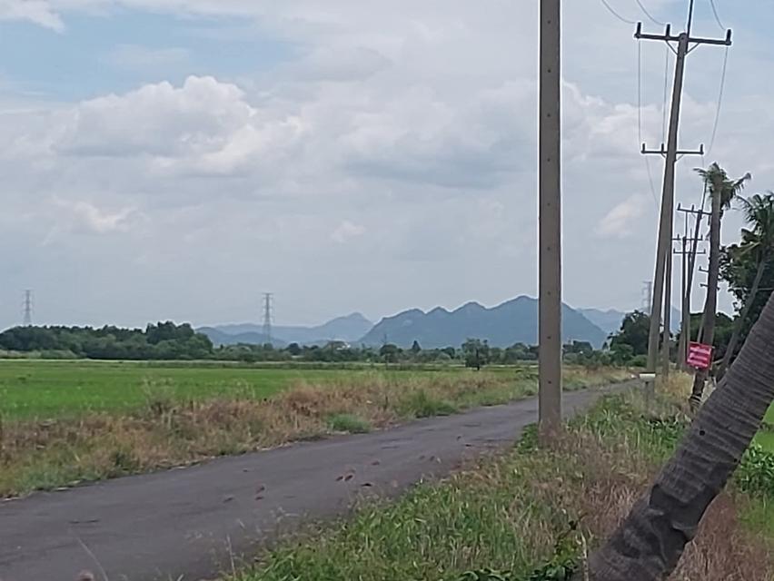ที่ดิน 4