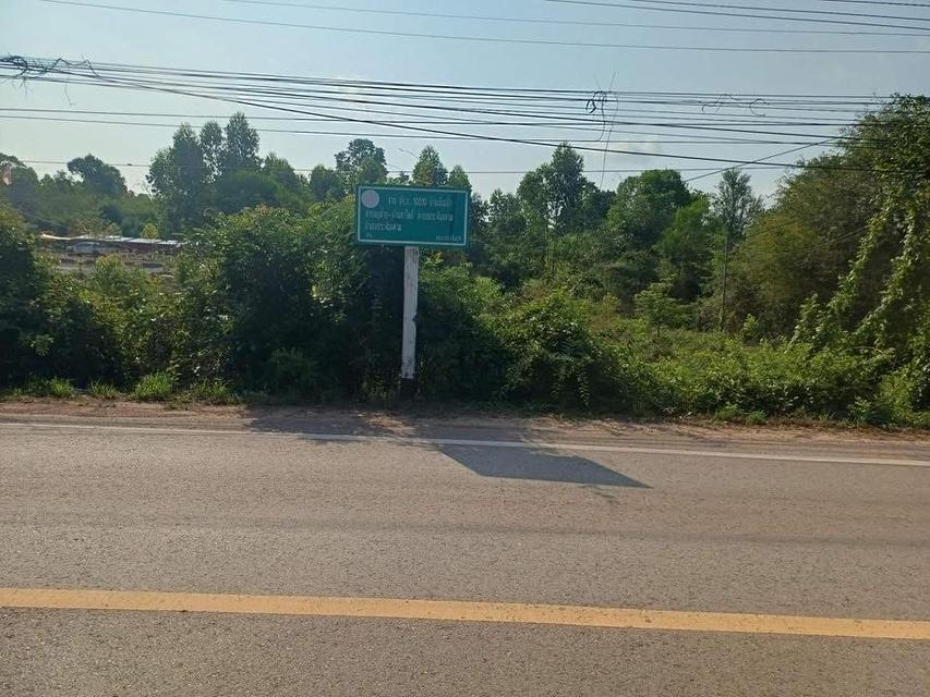 ขายที่ดิน ม.6 ต.บุฝ้าย อ.ประจันตคาม จ.ปราจีนบุรี 5