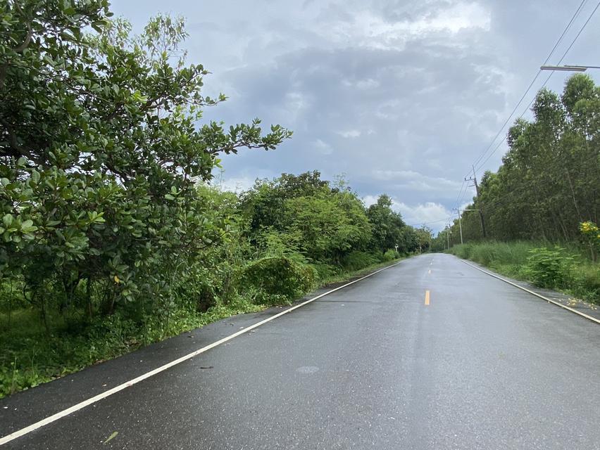 ขายที่ดินพร้อมบ้าน เนื้อที่ 365 ตารางวา อ.เกาะจันทร์ จ.ชลบุรี 7