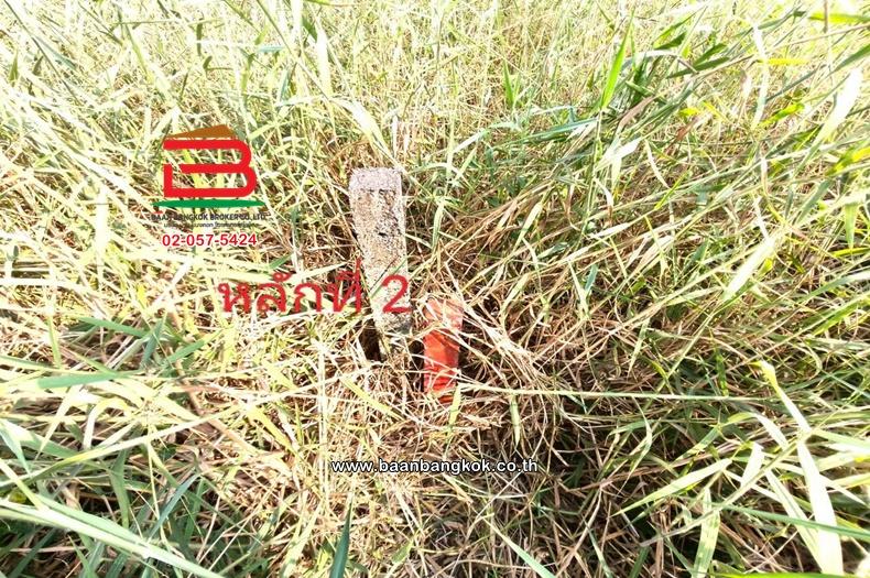 ที่ดินเปล่า เนื้อที่ 396 ตร.ว. หนองจอก-กระทุ่มราย (ซอยสุวินทวงศ์ 51) ถนนสุวินทวงศ์ แขวงกระทุ่มราย เขตหนองจอก(เจียระดับ) 8