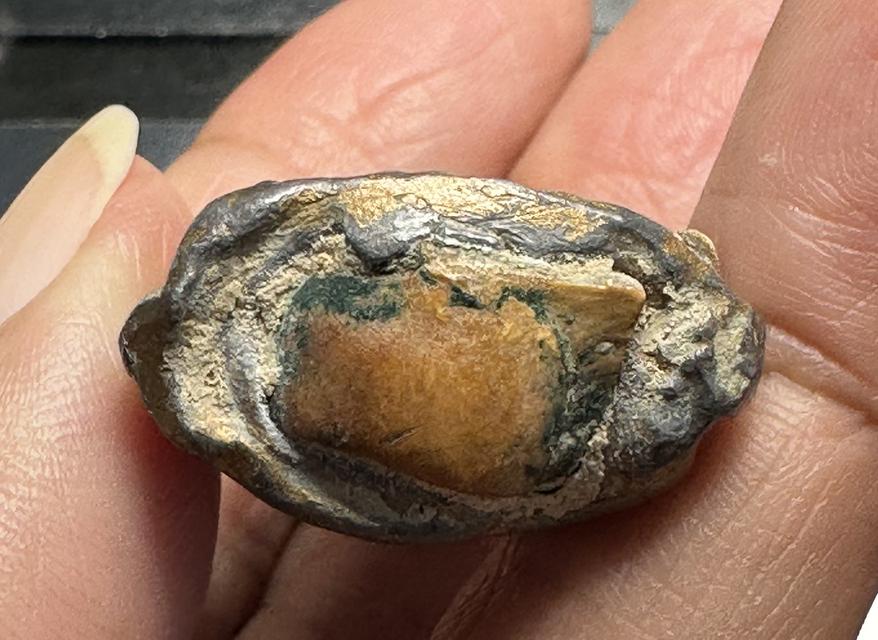 พระพุทธสมาธิเพชร หลวงพ่อดำ วัดกุฎี จ.ปราจีนบุรี ฝังเขี้ยวหมาป่า ช่วงปี 2432-2442 รูปที่ 5