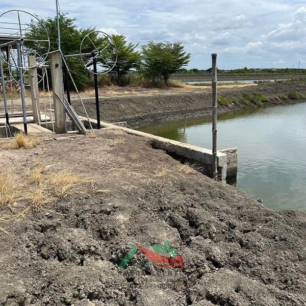 ขายที่ดินพร้อมบ่อน้ำและสิ่งปลูกสร้าง ขนาด23-0-62ไร่ ซ.กรมประมง โคกขาม มหาชัย 6