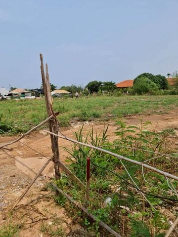 ขายที่ดินวิวเขา บางเสร่ 1ไร่ | เหมาะทำรีสอร์ท/บ้านพัก/เพื่อการลงทุน/Land for Sale in Bangsary. 6