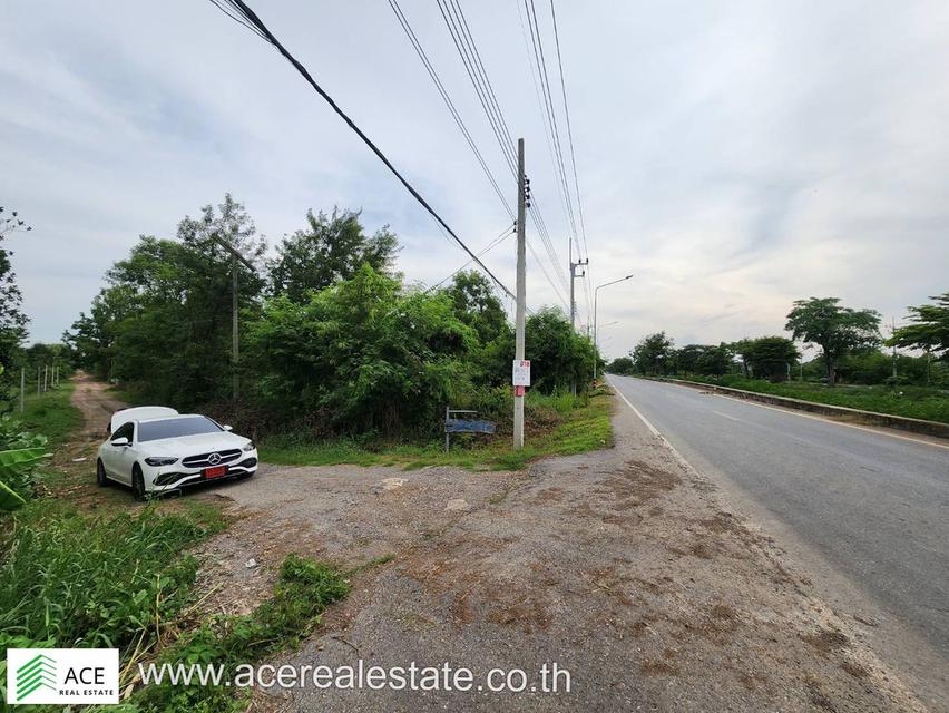 ขาย ที่ดินราคาถูก จ.ปทุมฯ อ.หนองเสือ ต.บึงกาสาม ขนาด 200 ตรว. 1