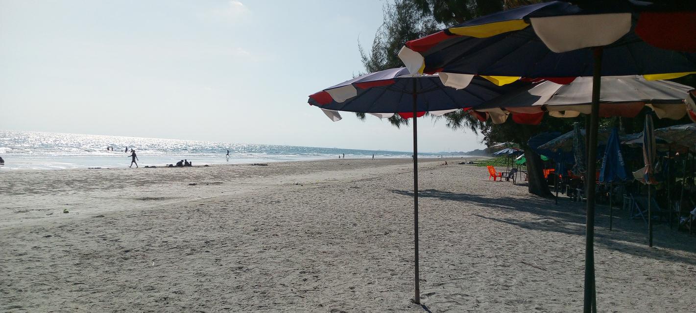 ที่ดิน 4 ไร่ ทำเลทอง 7