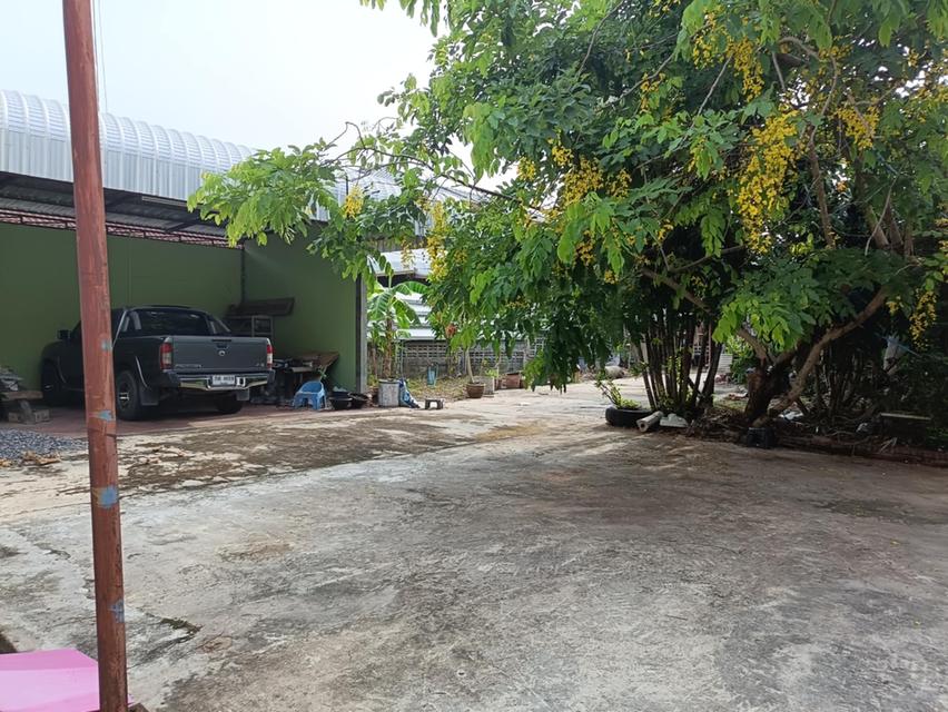 ขายด่วน‼️ ที่ดินพร้อมบ้าน ใจกลางเมืองร้อยเอ็ด