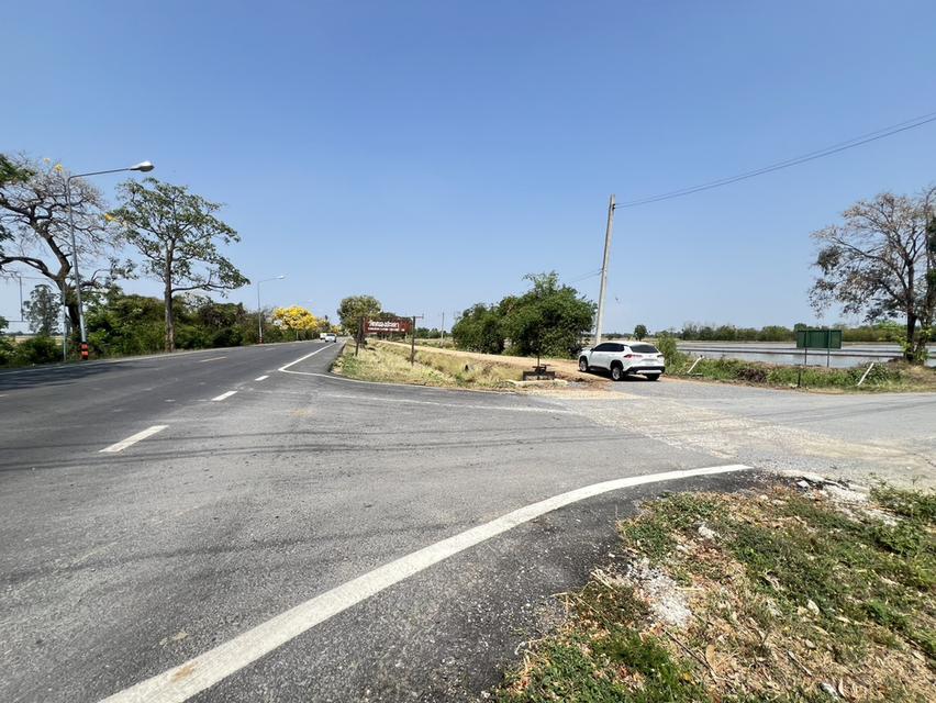 ขายด่วน! ที่ดินผืนใหญ่ 12 ไร่ พร้อมบ้าน 4 หลัง (ตกแต่งด้วยไม้สัก) – อ.สามชุก จ.สุพรรณบุรี 5