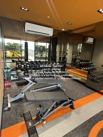 condo พลัมคอนโด นิวเวสต์ Plum Condo New West 32 SQ.M. 255600 บาท ใกล้ เซ็นทรัลเวสต์เกต H O T! เป็นคอนโด 1 ห้องนอน 1 ห้อง 4