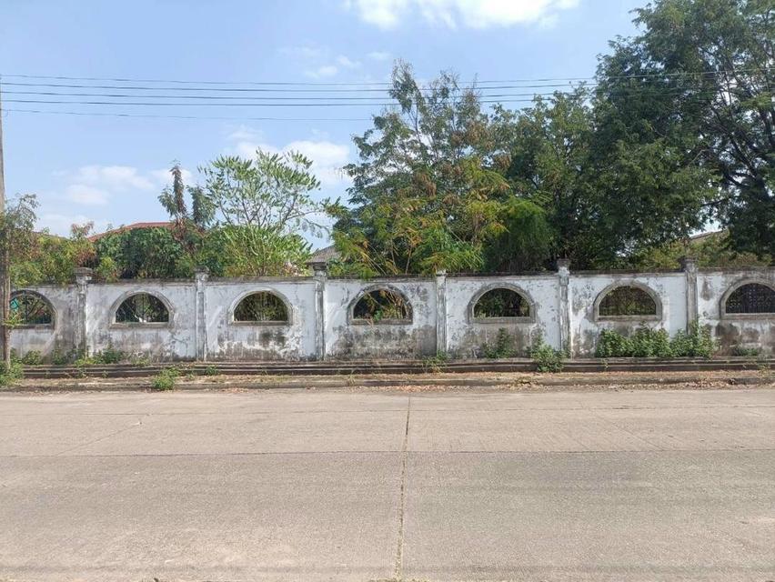 ขายที่ดิน แปลงมุม ถมแล้ว เนื้อที่ 194 ตารางวา ถนนพุทธมณฑลสาย 4 ตำบลบางกระทึก อำเภอสามพราน จังหวัดนครปฐม 3