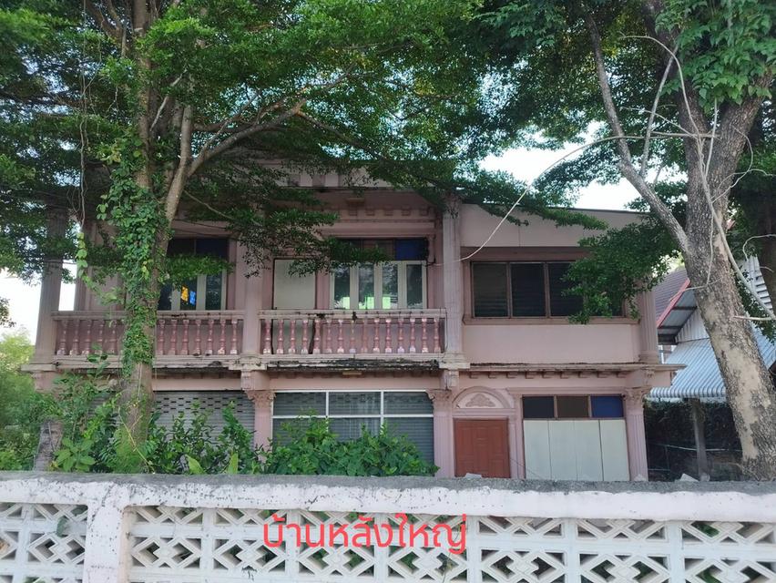 ขายบ้านพร้อมที่ดินทำเลดีติดถนนใหญ๋เขตชุมชนใน อ.เมือง จ.ลำพูน 5