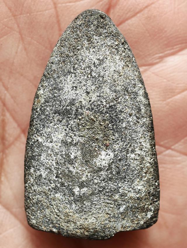 หลวงปู่ทวดเนื้อว่าน รุ่นแรก วัดช้างให้ พิมพ์ใหญ่ ....เก่า เดิมๆ สวยแชมป์ 7