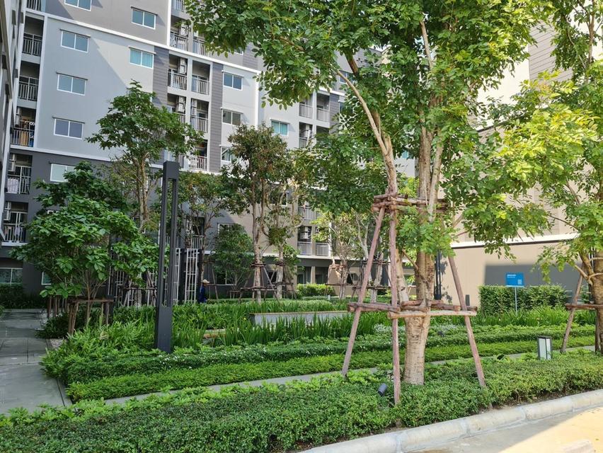 คอนโดลุมพินีวิวล์ เอกชัย 48 7
