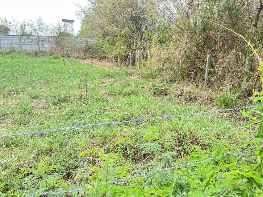 ขายที่ดินแปลงสวย ทำเลดี 4