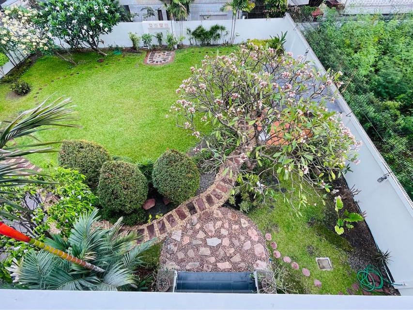 ให้เช่าบ้านเดี่ยว 3 ชั้น หลังใหญ่  ซ.รัชดา 32 พร้อมเข้าอยู่ สิ้น พ.ค. 4