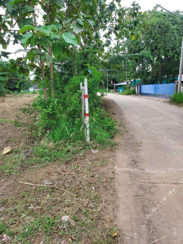 ที่ดิน 9 ไร่ 3 งาน พื้นที่ คั่นกระได ต.อ่าวน้อย อ.เมือง จ.ประจวบ 6