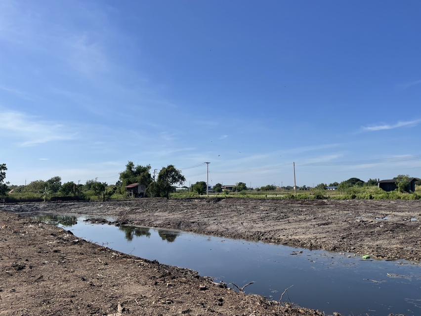 ขายที่ดิน 5 ไร่ ลำลูกกา คลอง 12 ทำเลดี ติดแหล่งชุมชน 5