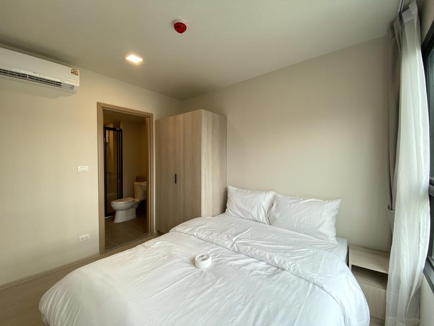 ปล่อยเช่า Dcondo Calm 11