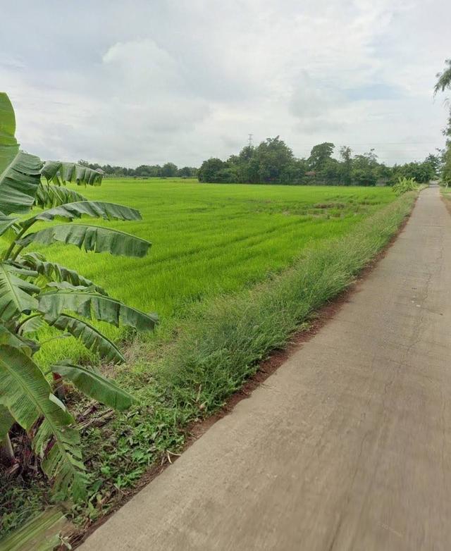 ✅ ขายที่ดินยกเเปลง 5ไร่ 3 งาน 34 ตรว @ต.สวนดอกไม้ อ.เสาไห้ จ.สระบุรี 🌏ที่ดินเเปลงสวย 1