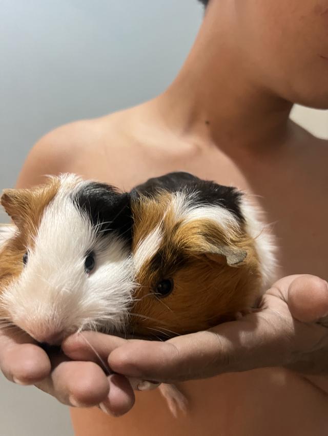 แกสบี้น่ารักๆ 5-6เดือนค่ะ 7