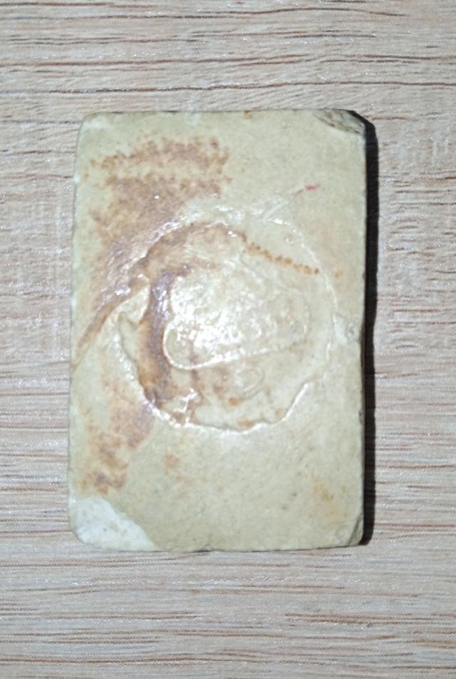 สมเด็จ พิมพ์ปรกโพธิ์ 6