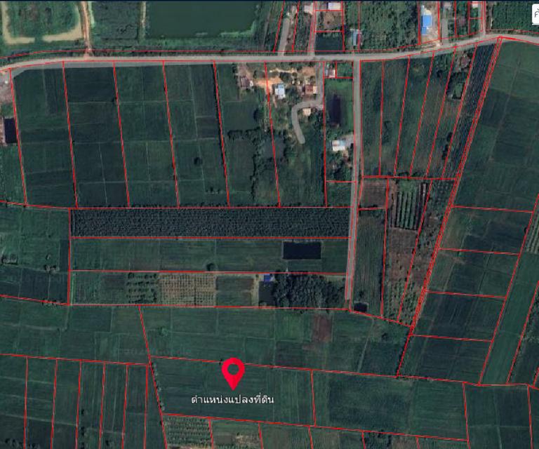 ขายที่ 12 ไร่ อยู่วังทอง พิษณุโลก 1