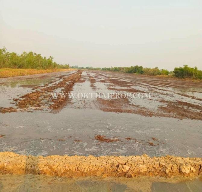 ที่ดิน คลอง14 ถนนรังสิต-นครนายก ใกล้ มศว. อ.องครักษ์ จ.นครนายก 3