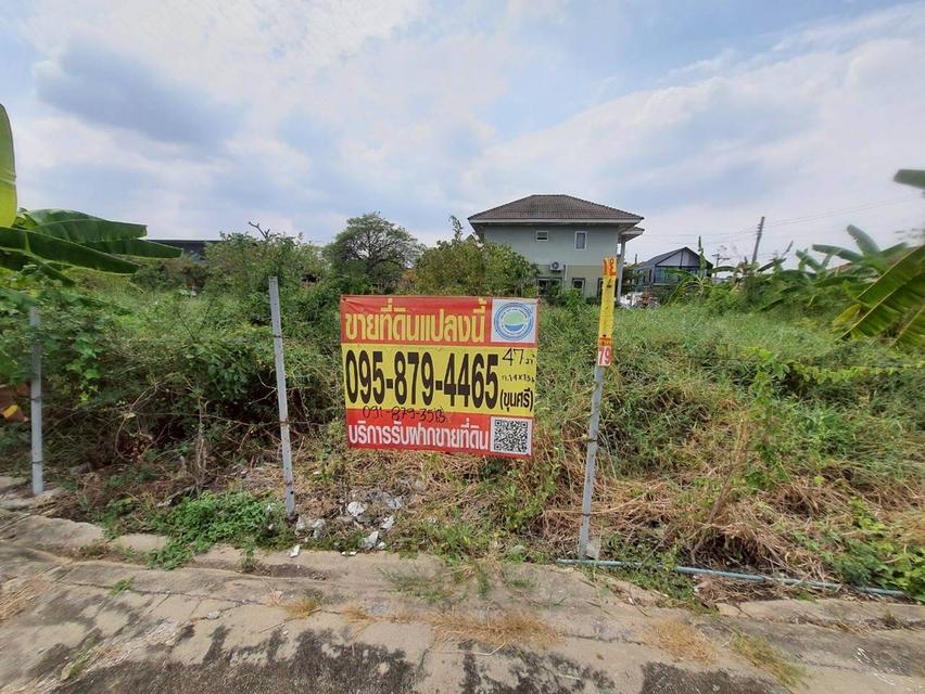 ที่ดิน 1