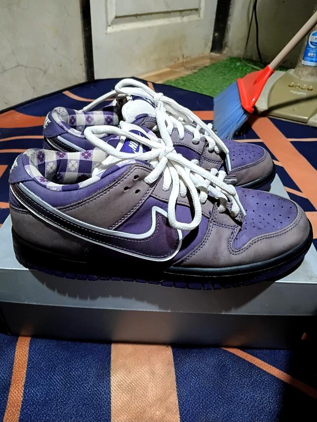 Nike SB Dunk Low Concepts Purple Lobster