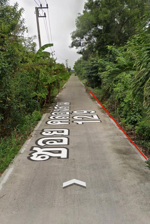 ขายด่วน ที่ดิน คลองสาม 200 ตร.ว.(1.6 ล้าน) 2