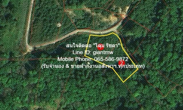 ขายที่ดินเปล่าบนภูเขา, วิวทะเล และมีถนนคอนกรีตหน้าที่ดิน ต.กมลา อ.กะทู้ จ.ภูเก็ต (2 ไร่), ราคา 34 ล้านบาท 4