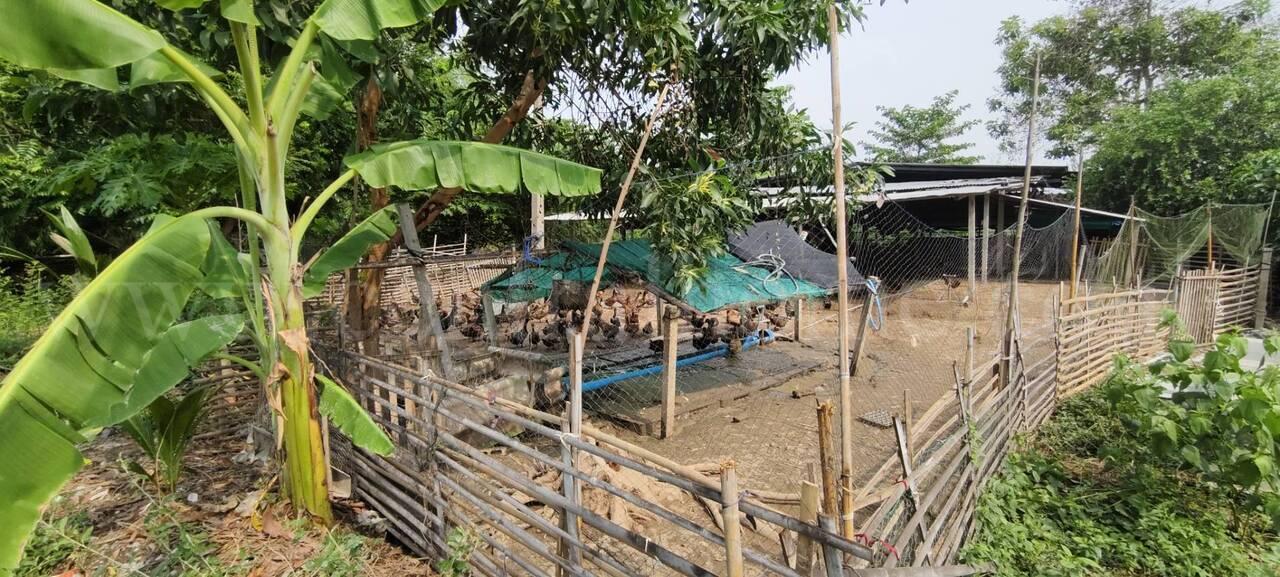 ที่ดินพร้อมสิ่งปลูกสร้าง  2-2-25 ไร่ บางเลน นครปฐม 8