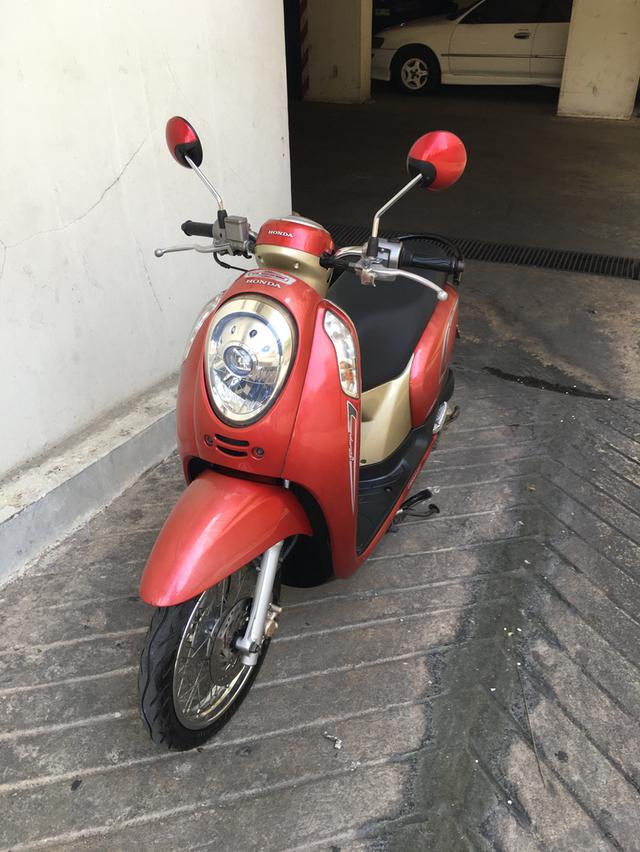 Scoopy i
