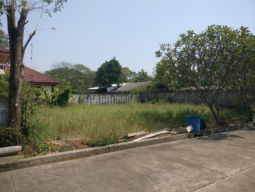 ขายที่ดิน 78 ตารางวา หมู่บ้านปัญญาเลคโฮม นิมิตใหม่ 28 ราคา 1.63 ล้านบาท 3