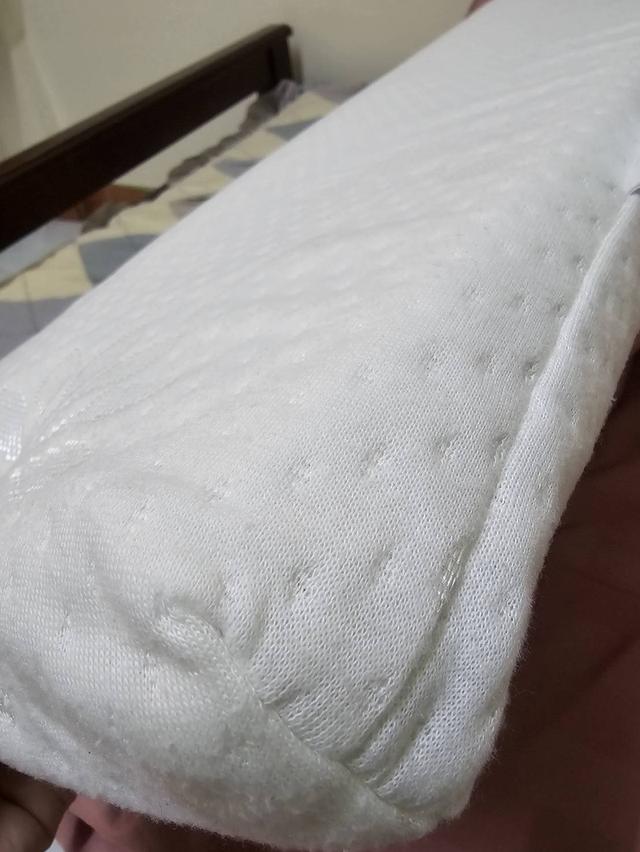 Topper ยางพาราแท้ รุ่น Firm ขนาด 3.5 ฟุต หนา 2" ส่งต่อมือสอง สภาพดี ไม่มีตำหนิ (ไม่รวมเตียง) รูปย่อยที่ 1