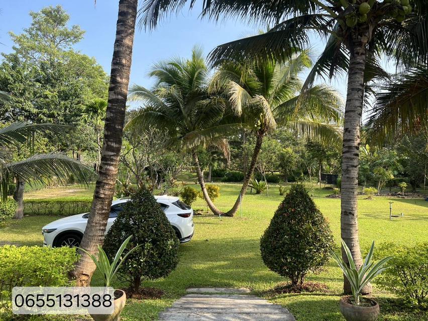 ที่ดินสวยปากช่อง 20 ไร่ พร้อมบ้านพัก ราคา 66 ล้านบาท 3
