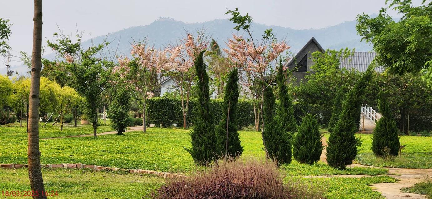 ที่ดินวิวเขา 5